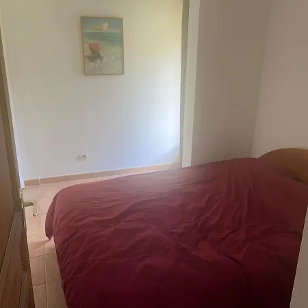 Mini Alba Rossa *